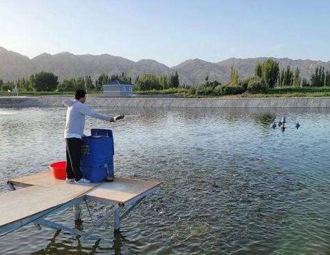 为农业插上科技翅膀！沙漠边缘建起新疆首个'海水养殖'基地