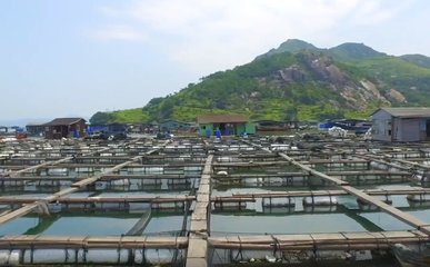 粤海饲料 深耕特种水产饲料，锻造现代养殖差异化核心竞争力