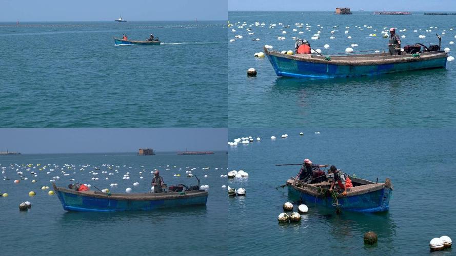 仙境海岸黄金岸 现代渔业海水养殖的振兴之路